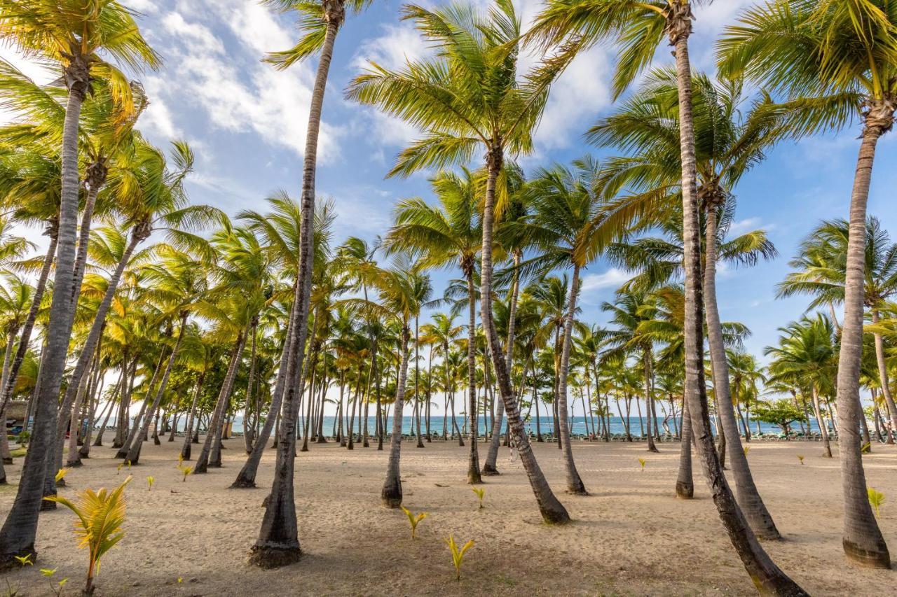 Senator Puerto Plata酒店 外观 照片 Palm trees in Punta Cana
